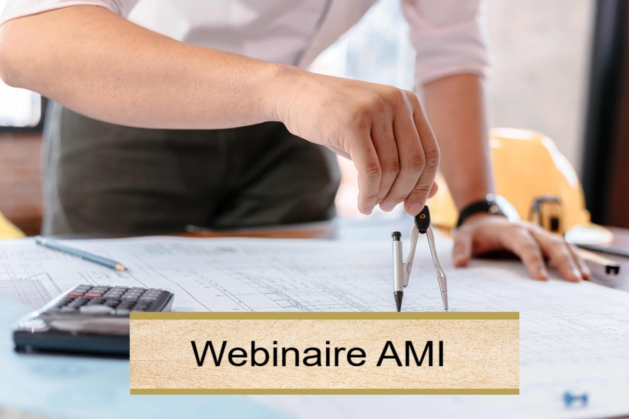 WEBINAIRE AMI UICB