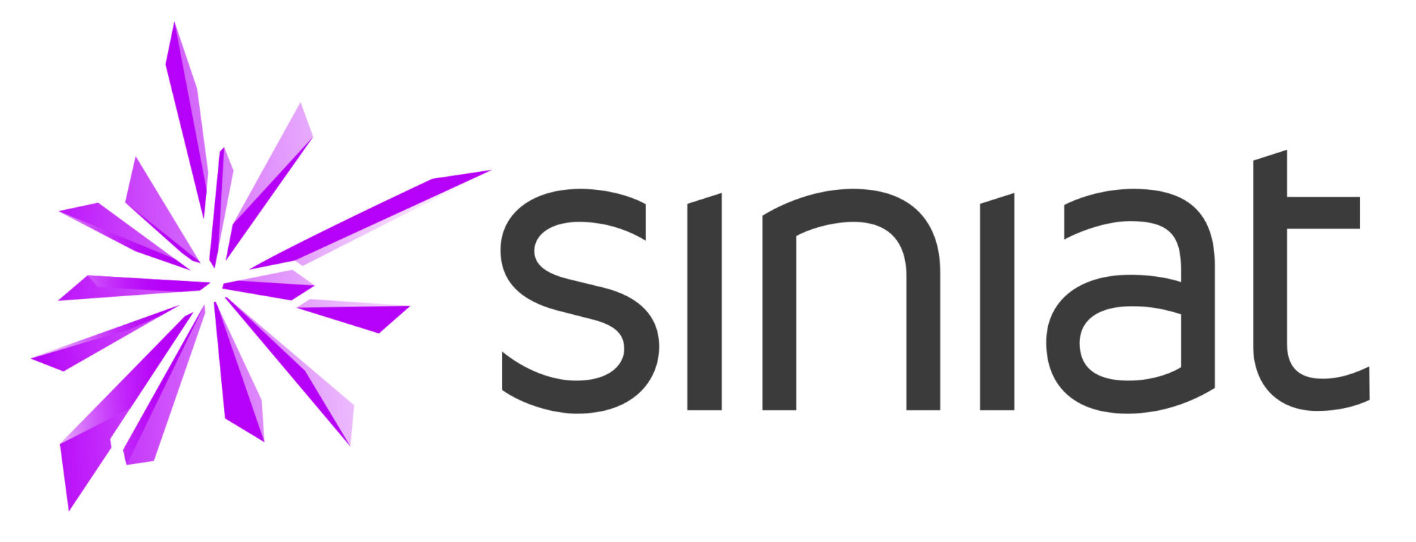 Logo Siniat