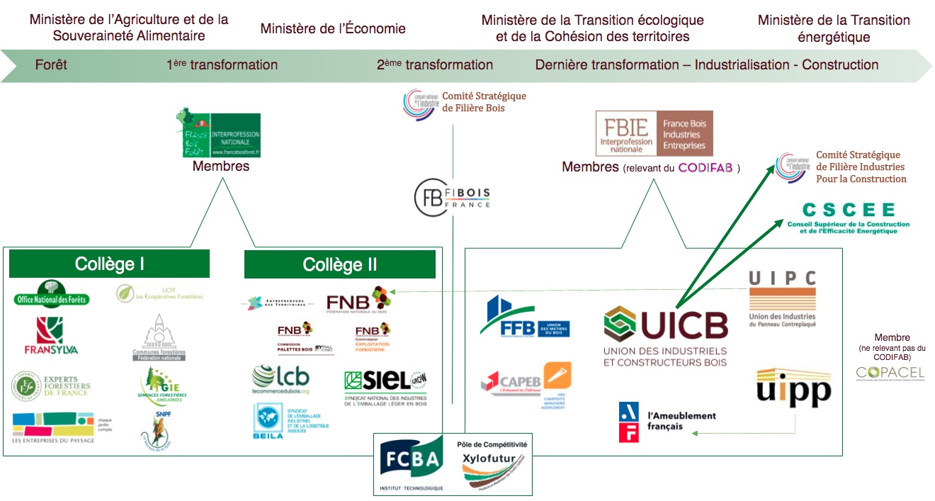 Cartographie des organismes membres des inter-professions de la filière forêt-bois française