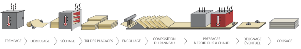 Schéma du process de fabrication du LVL (Lamibois), produit technique d structure du bâtiment en bois