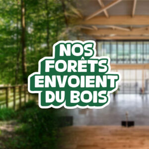 Nos forêts envoient du bois