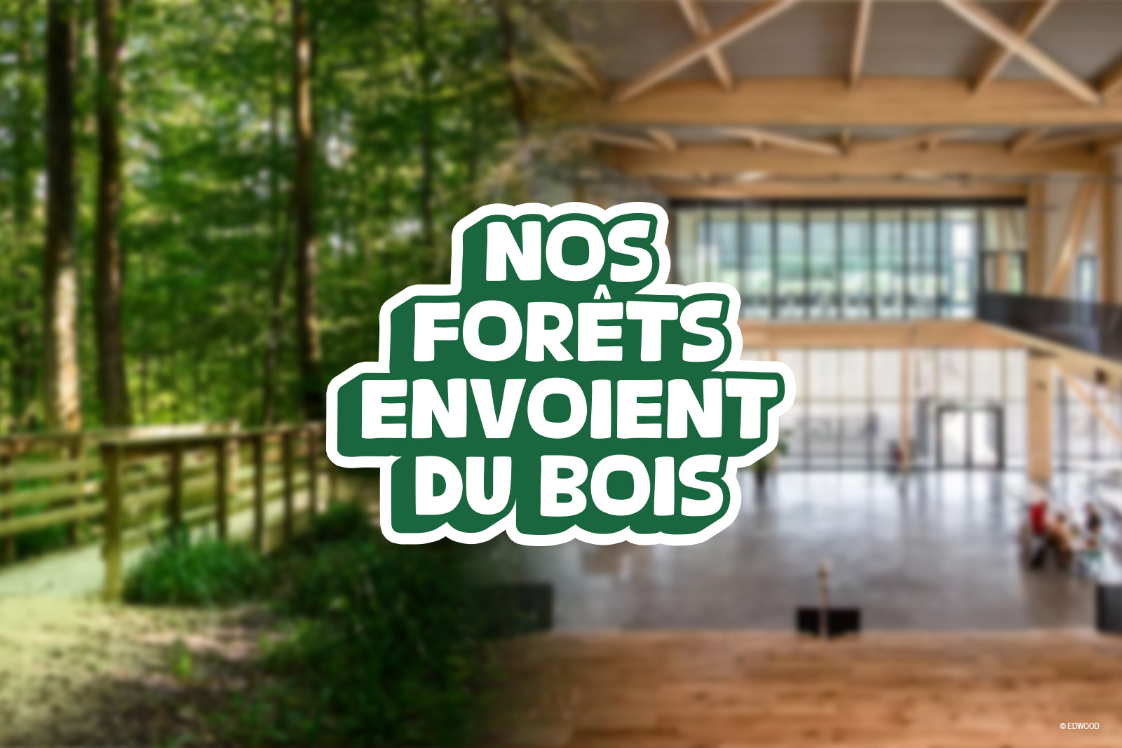 Nos forêts envoient du bois