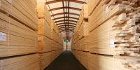 SECHAGE DES BOIS- IMG_8422