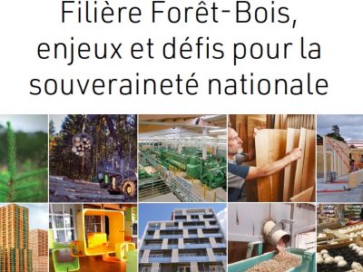 MANIFESTE DE LA FILIÈRE FORÊT-BOIS